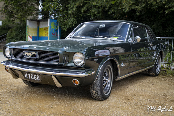 Vintage Cars & Bikes Steinfort