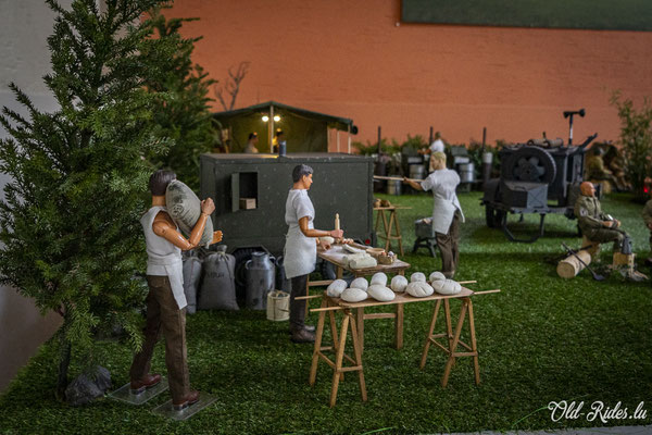 Int. Meeting CVM Steesel