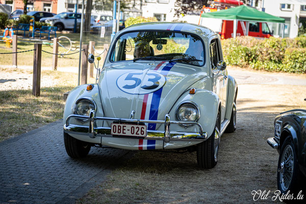 Vintage Cars & Bikes Steinfort