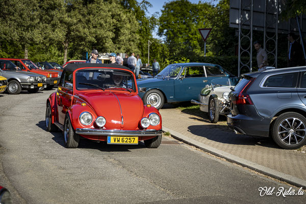 Afterwork Mechanical Freaks