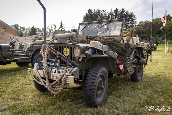 Int. Meeting CVM Steesel