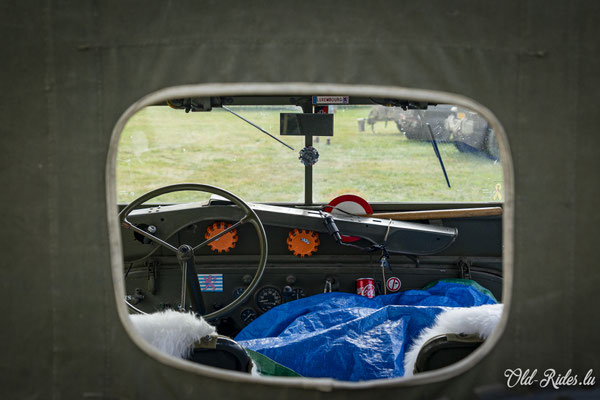 Int. Meeting CVM Steesel