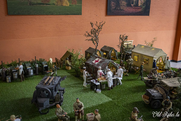 Int. Meeting CVM Steesel