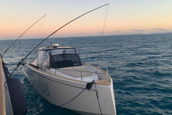 Mooring Whips