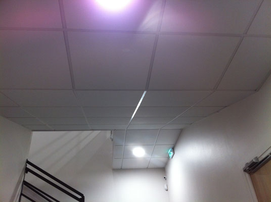 Faux plafonds 600x600mm rampant