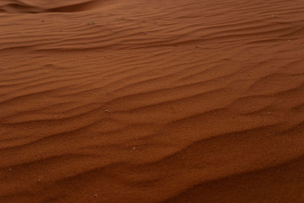 Dunes -  Kalahari Desert 