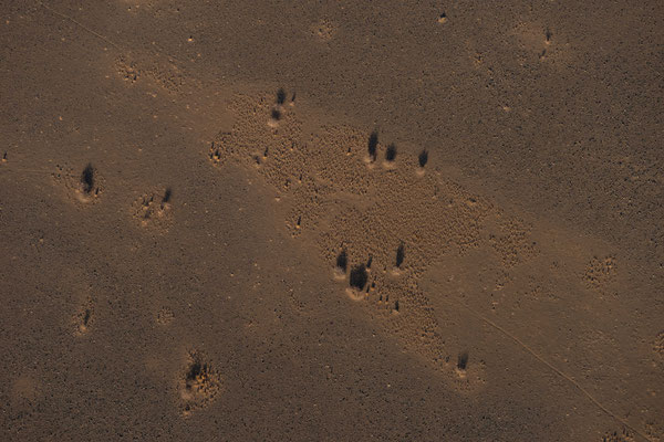 Animal tracks from above - Namib Desert