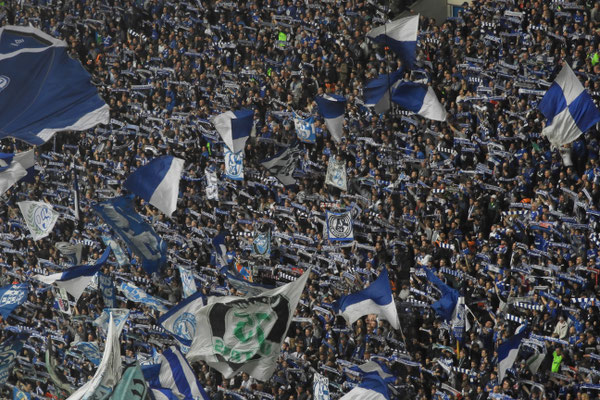 Veltins Arena, Schalke 04