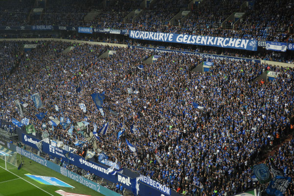 Veltins Arena, Schalke 04