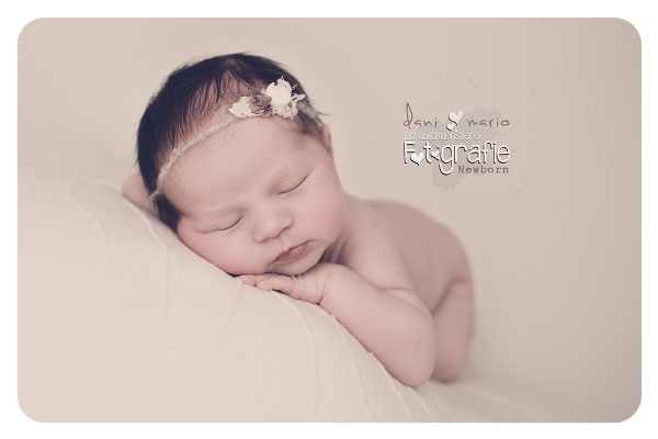 Baby Neugeborenenfotografie Fotografie Schwangerschaft Zwickau Familienshooting Kinderbilder Fotograf Daniela Rettke Hebamme Lichtbildkünstlerei Lichtbildkuenstlerei