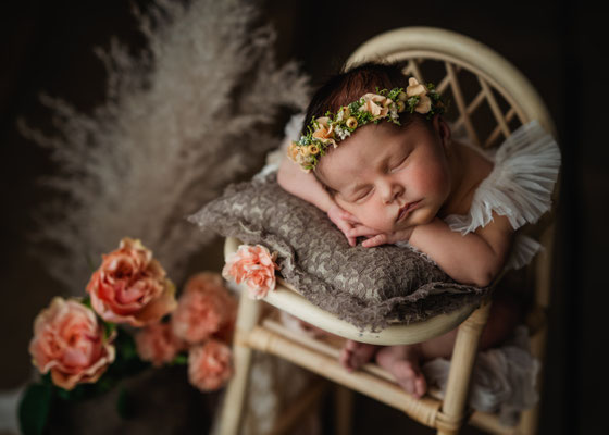 Familienfotos,Lichtbildkuenstlerei,Babyfoto,Fotograf,Zwickau,Chemnitz,allgäu,Fotostudio,Fineart,Neugeborenenshooting
