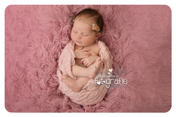 Baby Neugeborenenfotografie Fotografie Schwangerschaft Zwickau Familienshooting Kinderbilder Fotograf Daniela Rettke Hebamme Lichtbildkünstlerei Lichtbildkuenstlerei