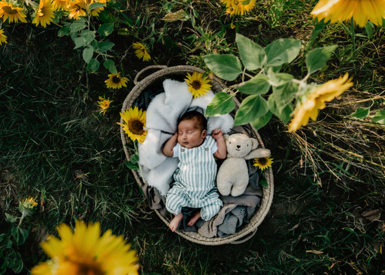 Familienfotos-Babyfoto-Fotograf-Zwickau-Chemnitz-Leipzig-Fotostudio-Neugeborenenshooting-Newborn