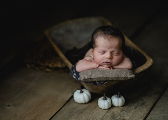 Familienfotos,Lichtbildkuenstlerei,Babyfoto,Fotograf,Zwickau,Chemnitz,allgäu,Fotostudio,Fineart,Neugeborenenshooting
