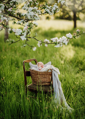 Familienfotos-Babyfoto-Fotograf-Zwickau-Chemnitz-Leipzig-Fotostudio-Neugeborenenshooting-Loftstudio-Newborn