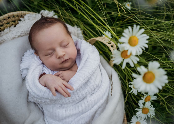 Familienfotos,Babyfoto,Fotograf,Zwickau,Chemnitz,Leipzig,Fotostudio,Neugeborenenshooting,Outdoorfoto, Outdoorshooting