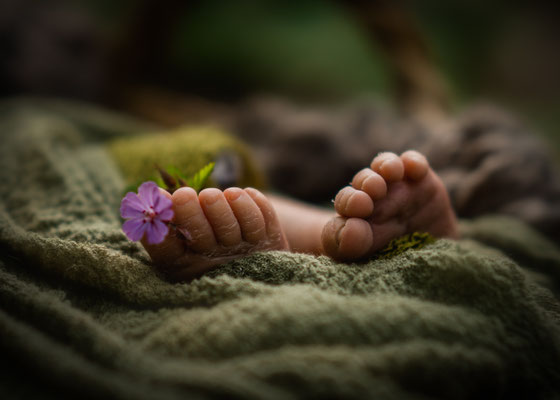 Familienfotos,Kinderfoto,Neugeborenenfotos,Babyfoto,Fotograf,Zwickau,Chemnitz,Fotostudio,Familienshooting,Neugeborenenshooting