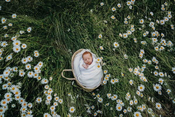 Familienfotos,Kinderfoto,Neugeborenenfotos,Babyfoto,Fotograf,Zwickau,Chemnitz,Fotostudio,Familienshooting,Neugeborenenshooting