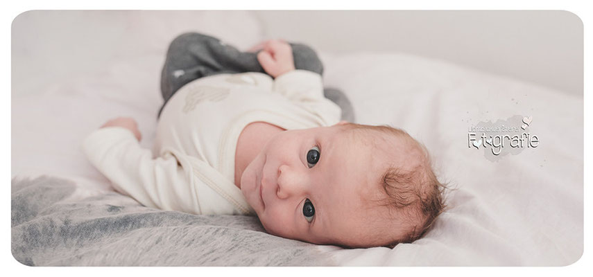 Neugeborenenfotos Homestory Lifestyle Fotografie Reportage Familienfotografie Photography Zwickau Hebamme Lichtbildkuenstlerei Daniela Rettke Hochzeit Kinderbilder Geschwisterfotos Chemnitz Zittau Erfurt Jena Leipzig Gera Dresden Bautzen Newborn Baby