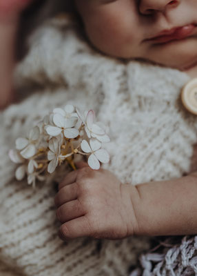 Familienfotos,Babyfoto,Fotograf,Zwickau,Chemnitz,Leipzig,Fotostudio,Neugeborenenshooting, Loftstudio, Newborn
