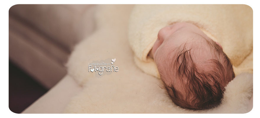 Neugeborenenfotos Homestory Lifestyle Fotografie Reportage Familienfotografie Photography Zwickau Hebamme Lichtbildkuenstlerei Daniela Rettke Hochzeit Kinderbilder Geschwisterfotos Chemnitz Zittau Erfurt Jena Leipzig Gera Dresden Bautzen Newborn Baby