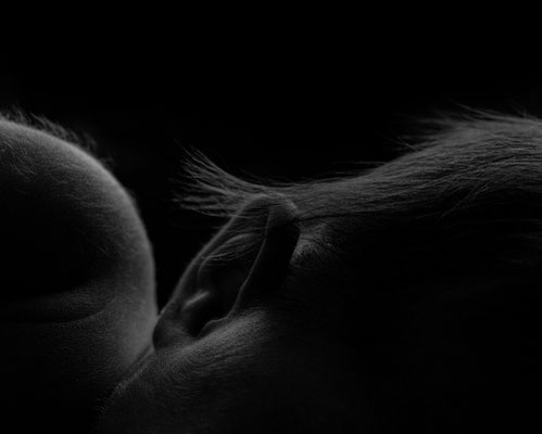 babybauchshooting,familienshooting,babyfotos,neugeborenenshooting,Zwickau,chemnitz,leipzig,authentisch,Schwangerschaftsfoto,familienfotograf