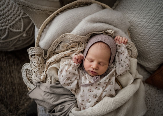 Familienfotos,Boho,Babyfoto,Fotograf,Zwickau,Chemnitz,allgäu,Fotostudio,Familienshooting,Neugeborenenshooting