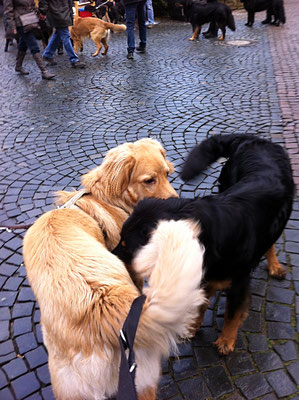 Booker Bleik und Baki