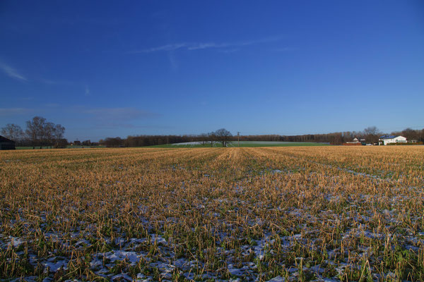 abgeerntetes Feld mit Schnee auf der grünen Wiese in der Mitte