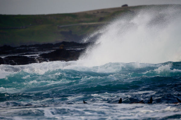 Brandung vor  Phillip Island