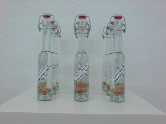 Kunst trifft Wissenschafts - Projekt DURST! HUNGER! Berlin, Deutschland, 2012