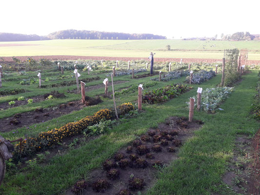 Unser Bauerngarten im Frühherbst 2019. 