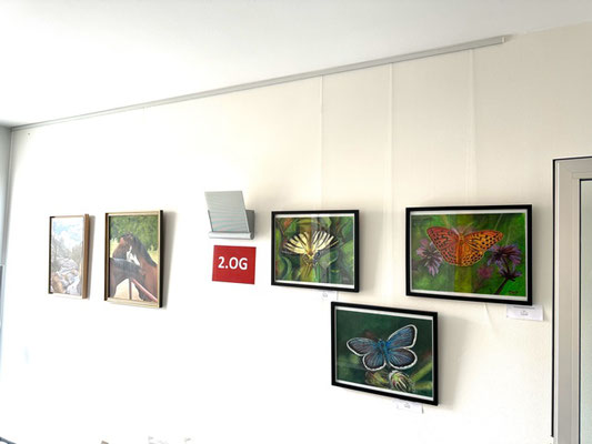 Meien Schmetterlingsbilder neben zwei Ölbildern von G.Schwarz
