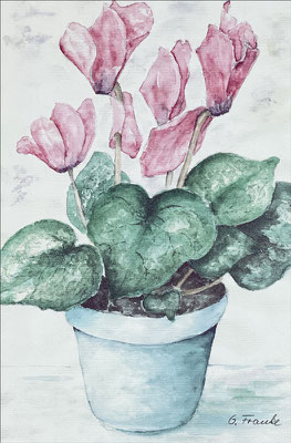 Gisela: "Alpenveilchen auf der Fensterbank",  Aquarell auf Papier, 25x30 cm