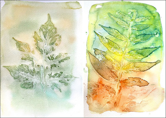 Ilse: Sonnendruck, 2023, mein erster Versuch  Das saugfähige Papier habe ich mit Aquarellfarbe bedeckt, (viel Wasser), dann die Blätter aufgelegt und angedrückt. Zum Trocknen kam alles in die Sonne. Weil das Papier unter den Blättern langsamer trocknet, e