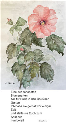Gisela: "Hibiskus von meiner Fensterbank", Aquarell auf Papier, 40x30 cm
