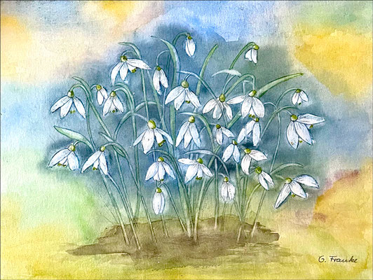 Gisela: "Schneeglöckchen", Aquarell, 30x40 cm