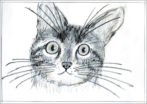 Ingrid: "Katzenportrait", Bleistift und Aquarellstift auf Briefkarte 10x15 cm, 2024