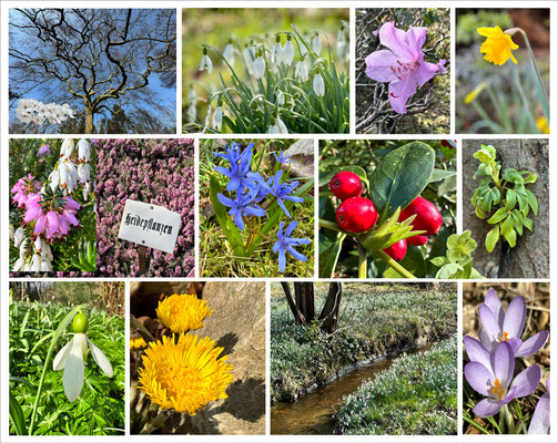Ilse: "Frühling"