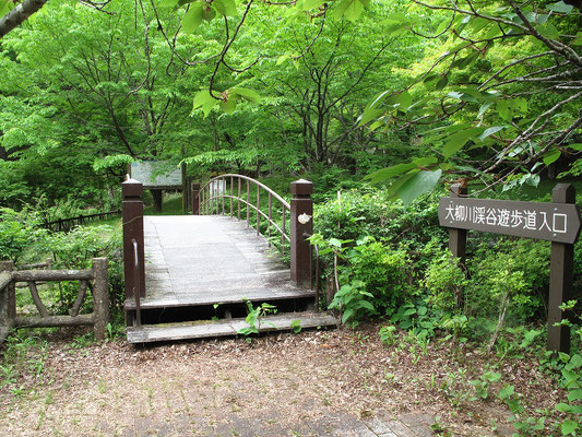 大柳川渓谷入口