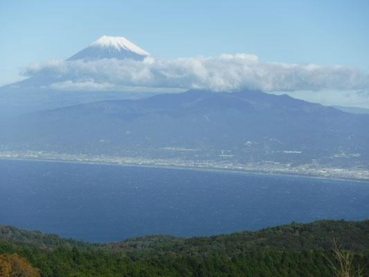達磨山レストハウスからの富士山