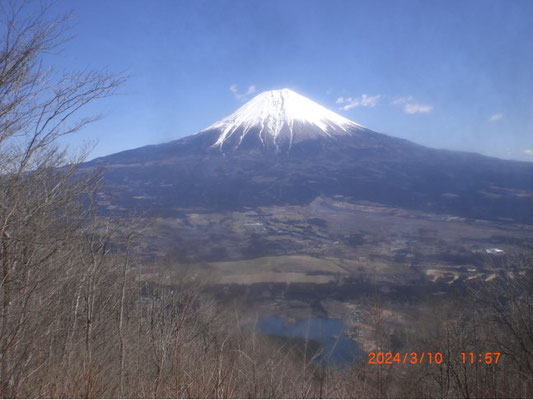 長者ヶ岳から富士山