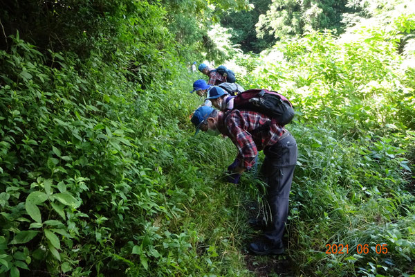 登山道の除草作業