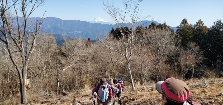 富士山が後ろに見えます