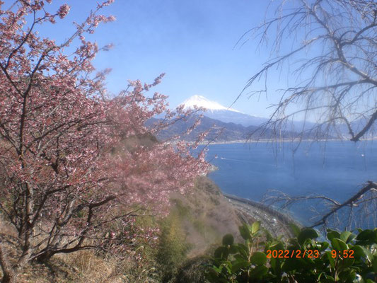 遊歩道から富士山