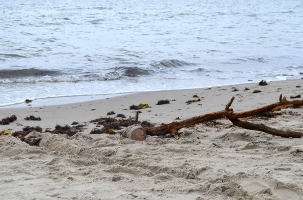 Strandgut
