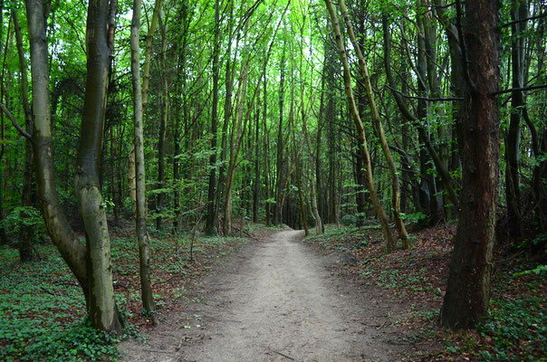 Hochuferweg