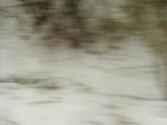 Winterreise, 2005
