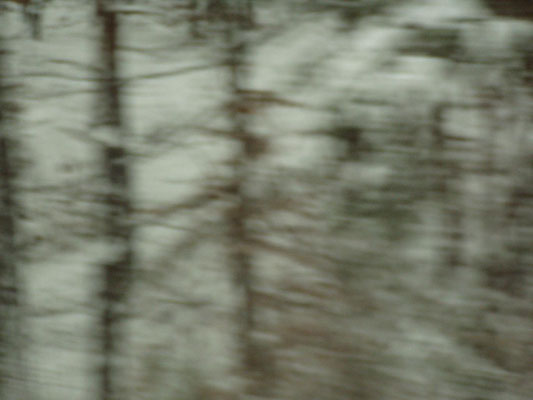 Winterreise, 2005