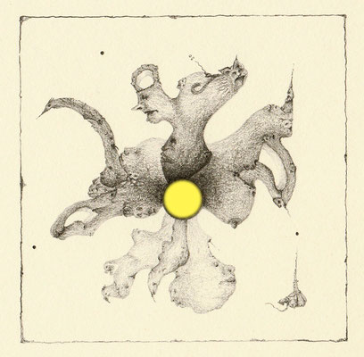 29_Punto Giallo